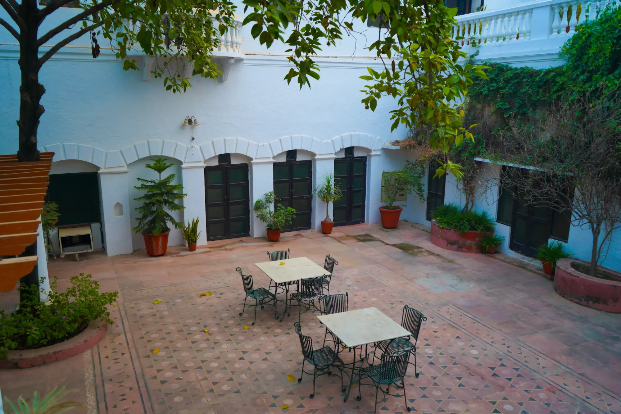 Courtyard seating beneath a leafy canopy