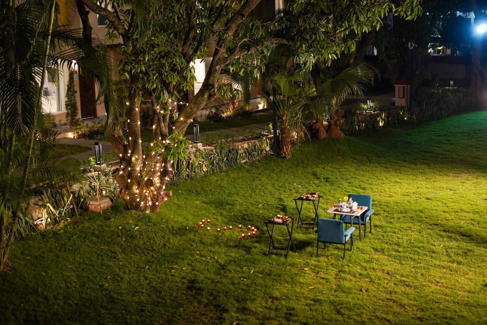 A dining table set beneath illuminated trees